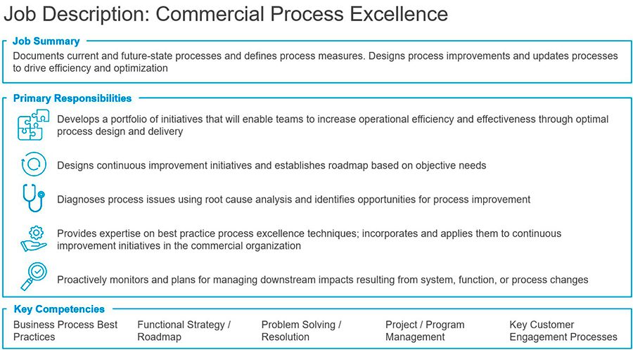 Job Description: Commercial Process Excellence