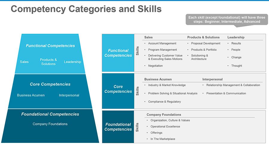 Tech - competency categories and skills - Alexander Group, Inc.